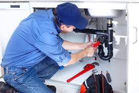 Best Green Plumbing Solutions and Water Conservation  in Skagway, AK